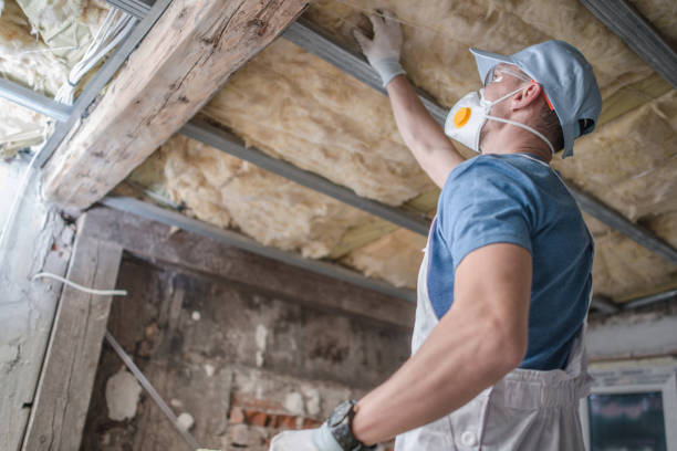 Best Insulation Contractor Near Me  in Calabash, NC